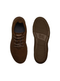  Footwear, Unisex Footwear, Brown Sneakers